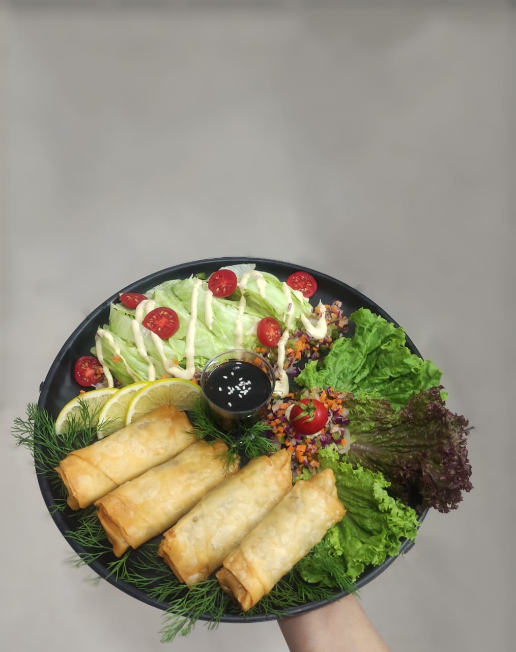 اسپرینگ رول گوشت